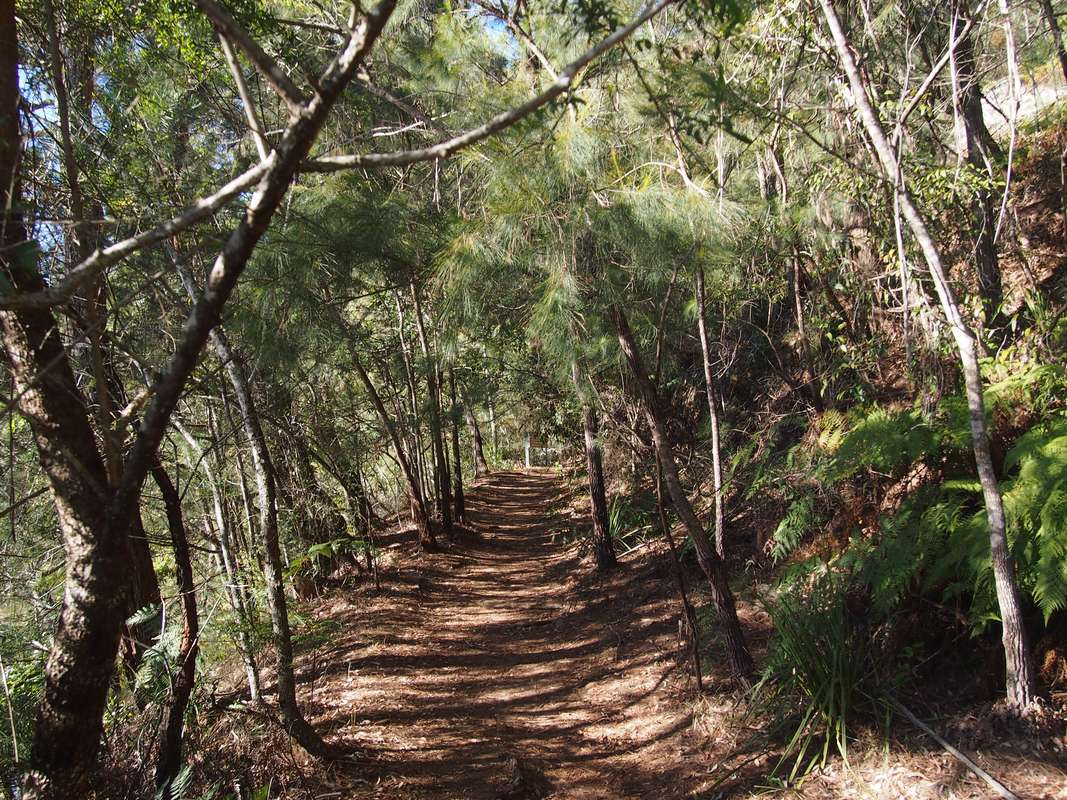 A hiking trip from Mount Kuring-gai to Wildflower Garden via Kuring-gai ...